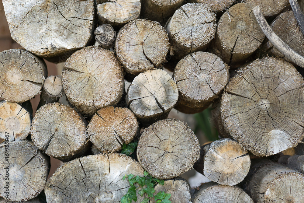Pile of wood logs ready for winter, dry chopped firewood. wood to burn and warm the cold winter Polluting energies, pollution with smoke a non-renewable energy Pile of wood logs ready for winter, dry chopped firewood. wood to burn and warm the cold winter Polluting energies, pollution with smoke a non-renewable energy