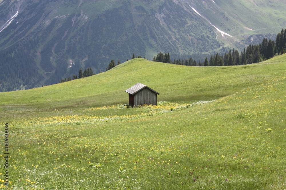 Berghütte, Schutzhütte