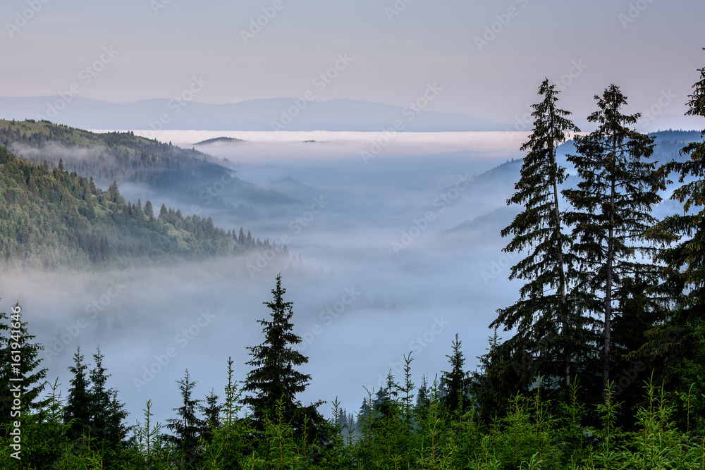 Foggy Landscape in Mountains. 
Foggy Landscape. A view from mountains to the valley covered with foggy landscape.