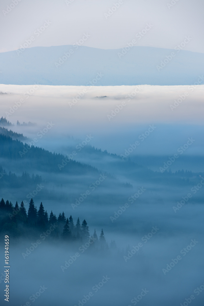 Foggy Landscape in Mountains. Beautiful morning landscape with trees in the fog. Foggy Landscape in Mountains. Beautiful morning landscape with trees in the fog.