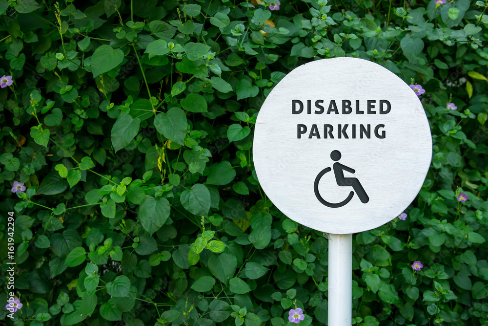 Sign of Parking for Disabled people or handicapped for Living or Accessibility in city public park, Natural green leaf as backdrop wall