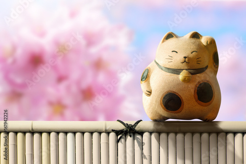 Japan Maneki Neko or beckoning cat, mascot of lucky and money, Present over pink cherry blossom sakura and bamboo fence photo