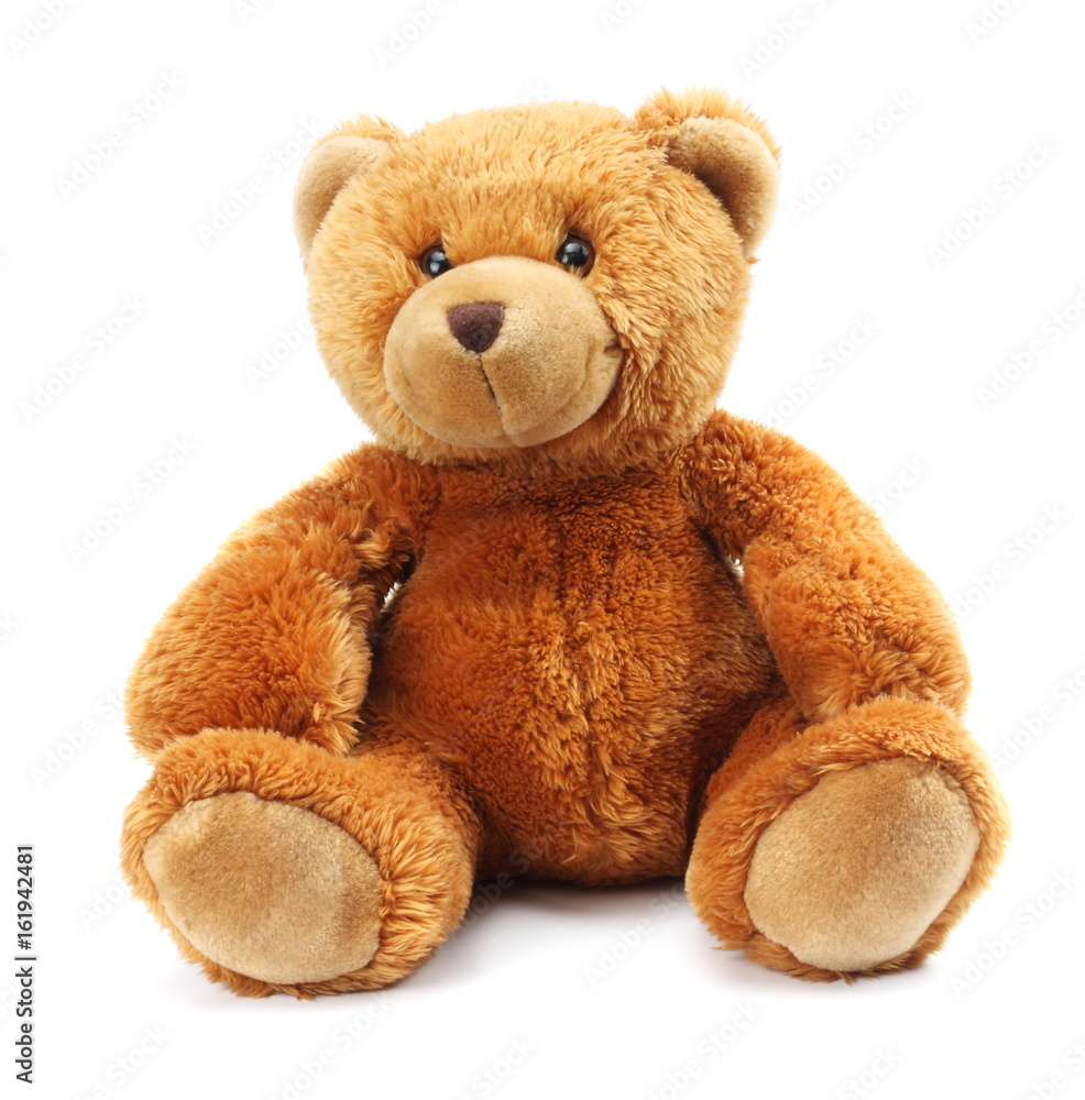 toy teddy isolated on white background toy teddy isolated on white background