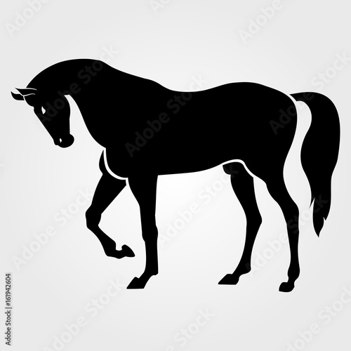 Horse icon isolated on white background.