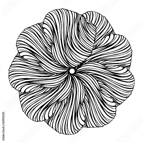 Abstract round design floral element photo