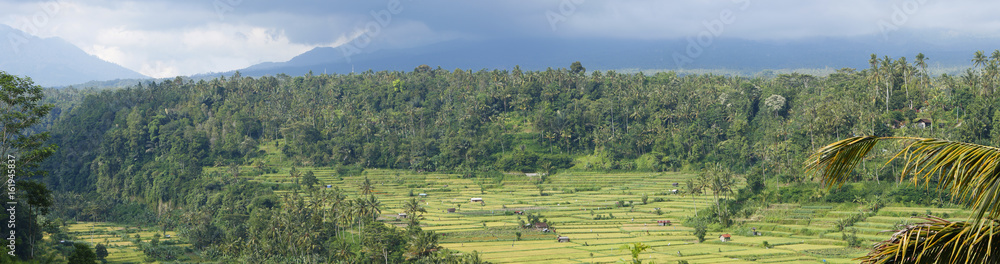 A panoramic view of a hill with paddy rice fields divided into terraces, a tropical jungle and a mountain covered with clouds on the background, Karangasem region of Bali, Indonesia, November 2016