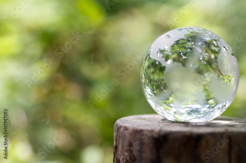 Glass Globe Against Green Background