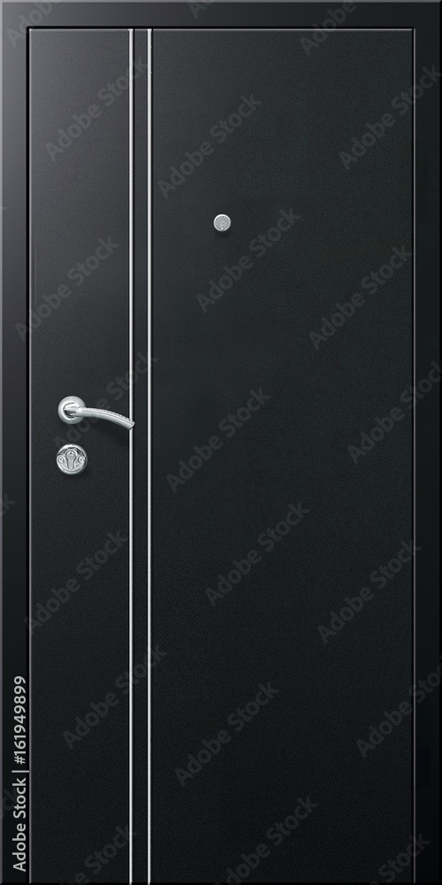 Obraz premium Entrance door (metal door, concept)