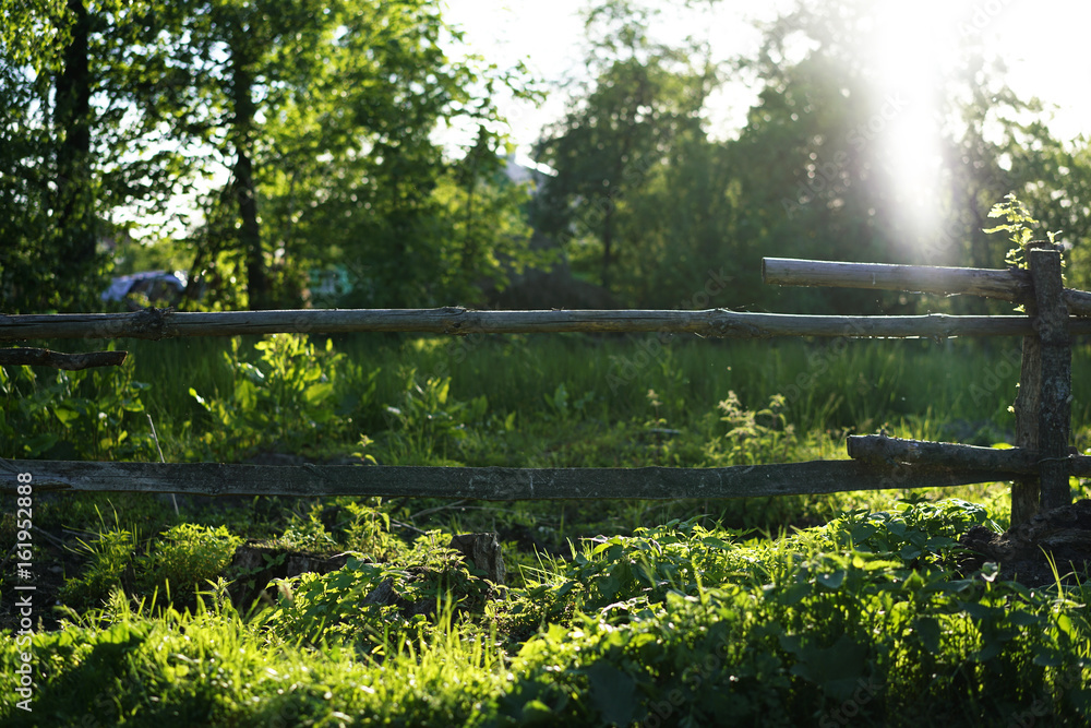 Fototapeta premium Landscape with a forest lake.