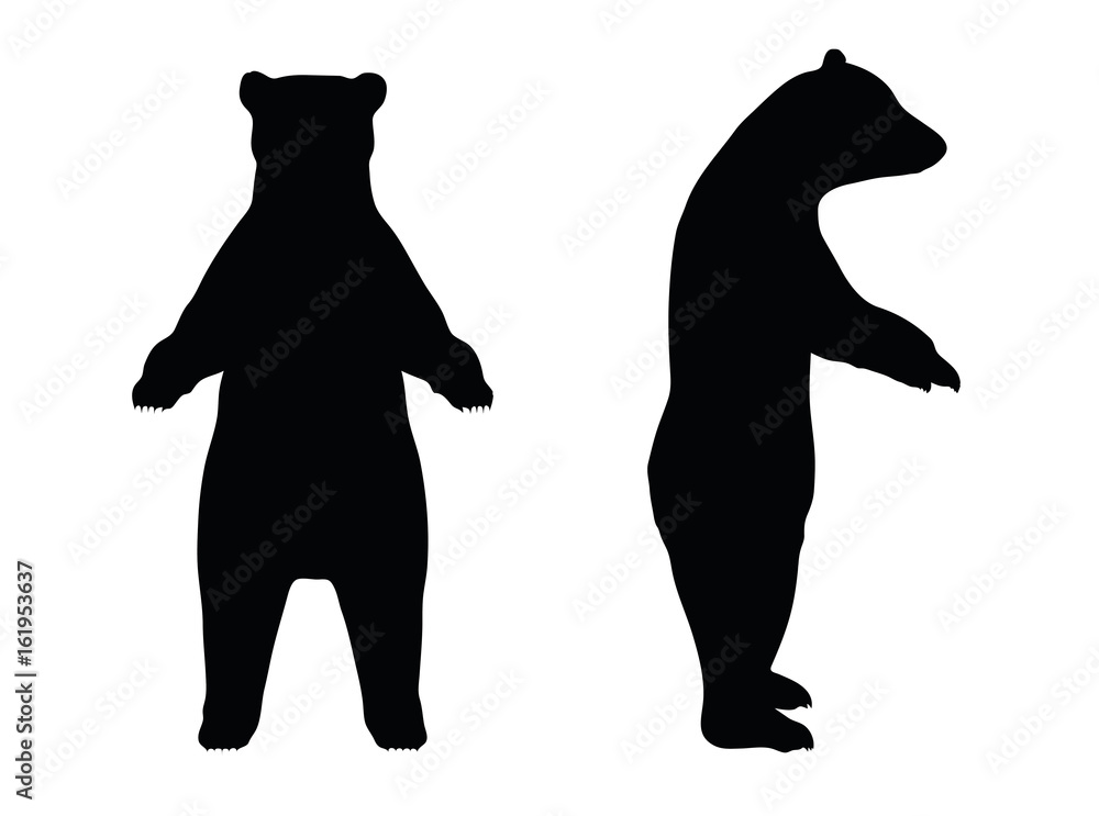vector illustration of Bear silhouette