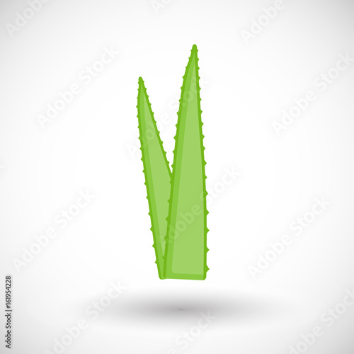 Aloe vera plant vector flat icon