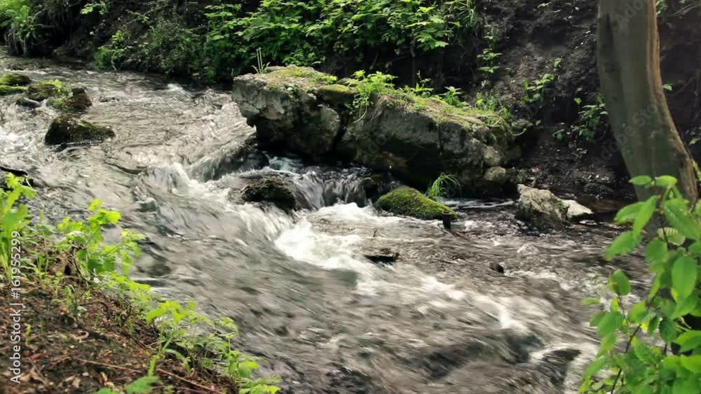 Fresh River Water Flows Among Rocks And Stones Of River In A Forest