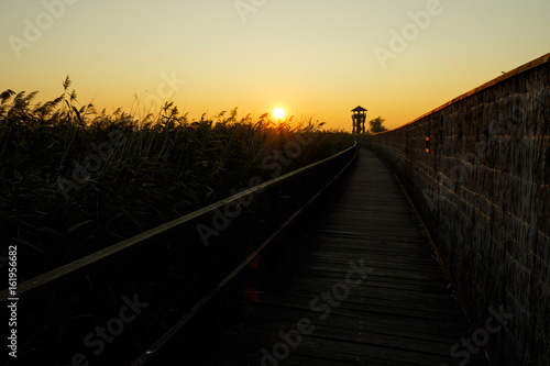 Hortob  gyi Nemzeti Park - Birdwatching tower