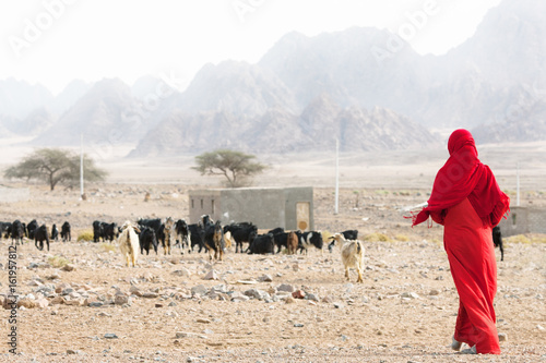 Valokuva Bedouin lady in Desert