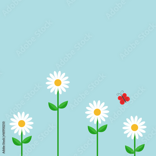 Red butterfly. White daisy chamomile set. Cute growing flower plant. Love card. Camomile icon. Flat design. Blue background. Isolated.