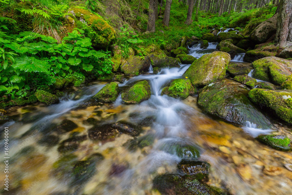 Pristine waterfalls in a mountain forest in summer, and lush green vegetation Pristine waterfalls in a mountain forest in summer, and lush green vegetation