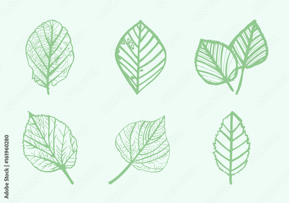 Vector icon of various leaves against green background