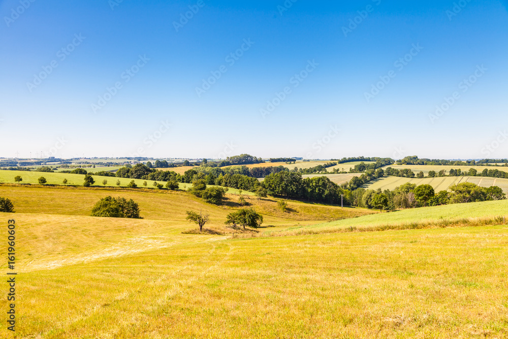 Agrar Landschaft im Hochsommer