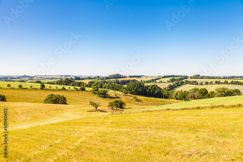 Agrar Landschaft im Hochsommer © Daniel Bahrmann