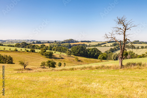 Agrar Landschaft im Hochsommer