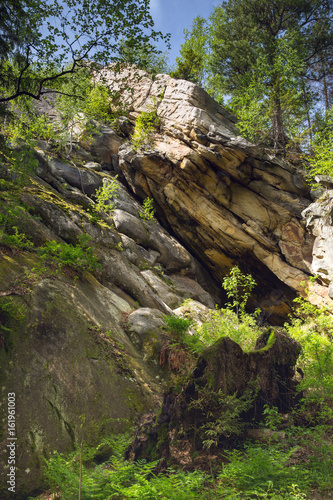 sandstone in forest in sunny day