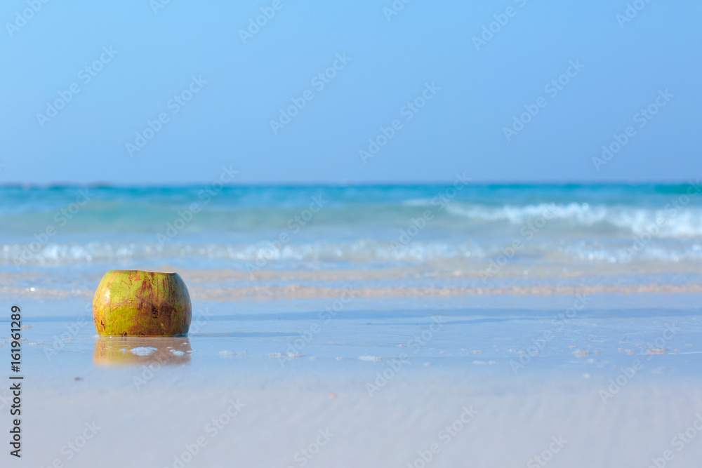 Coconut on the beach on blue sea background Coconut on the beach on blue sea background