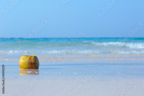 Coconut on the beach on blue sea background