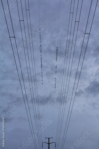 ハンプトンの電線と曇り空