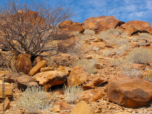 Twyfelfontein, Namibia