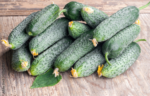 Fresh harvest of cucumbers on wooden background