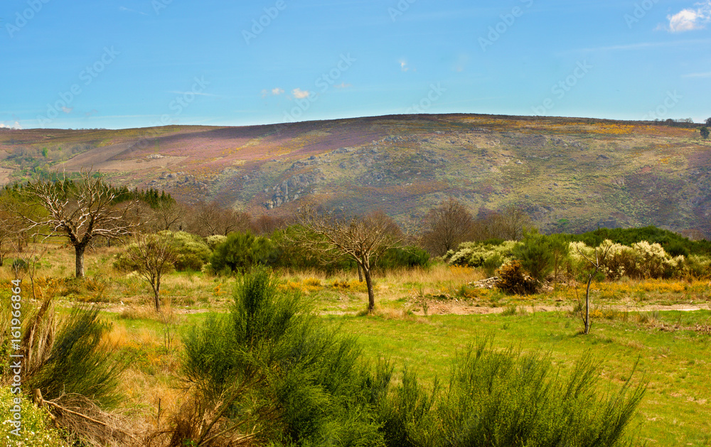 Portuguese Rustic Landscape