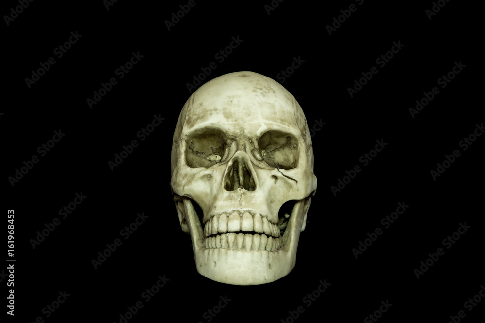 Human skull on isolated black background.. Human skull on isolated black background..