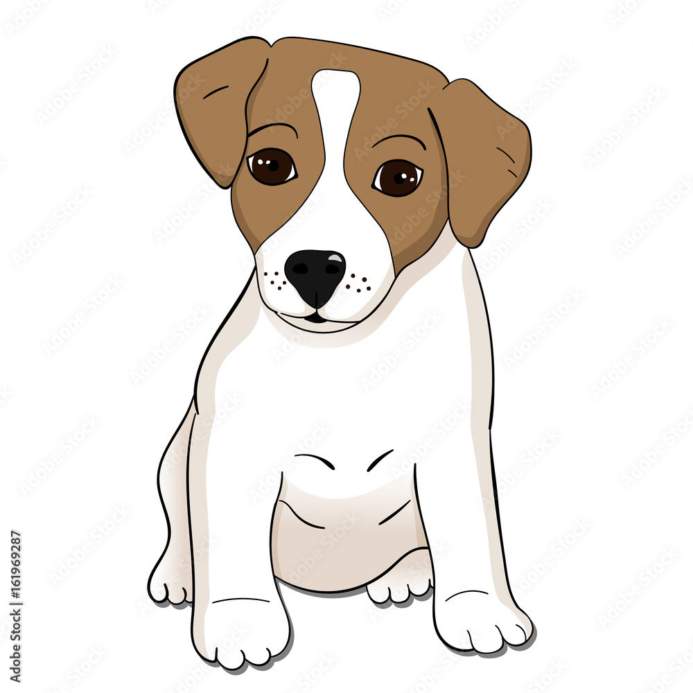 Cute Jack Russel terrier puppy. Vector illustration. - obrazy, fototapety, plakaty 