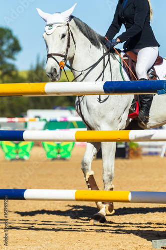 Horse Poles Rider Blurred Closeup