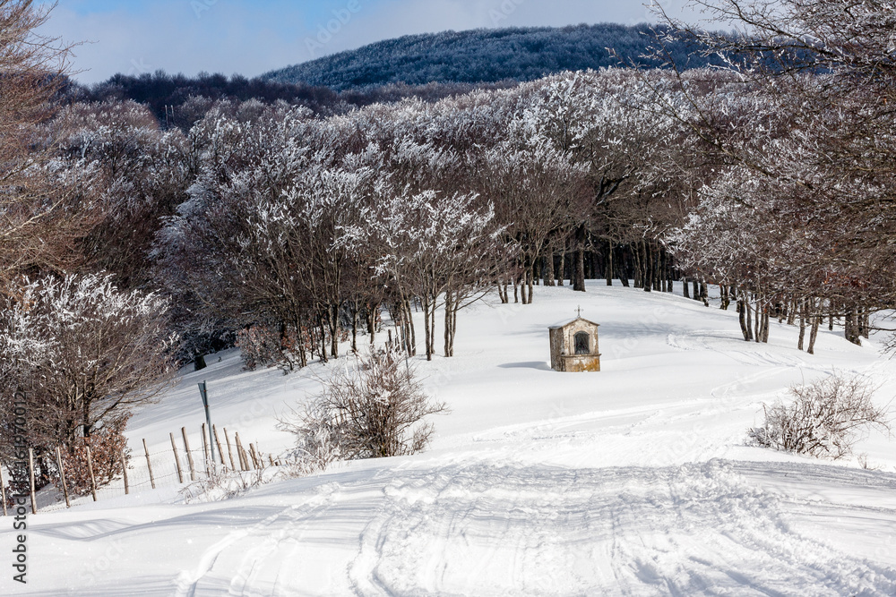 Winter landscape with snow covered forest. Nebrodi, Sicily