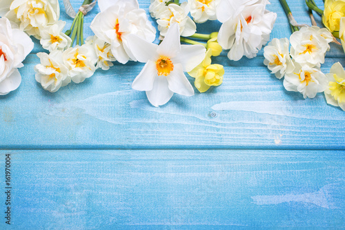 Fototapeta Naklejka Na Ścianę i Meble -  Border  from white tulips, narcissus, muscaries flowers on blue wooden background.