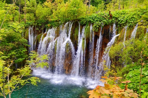 Lacs de Plitvice  cascades  Croatie