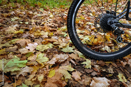 wheel of the electric bicycle against the background of yellow leaves