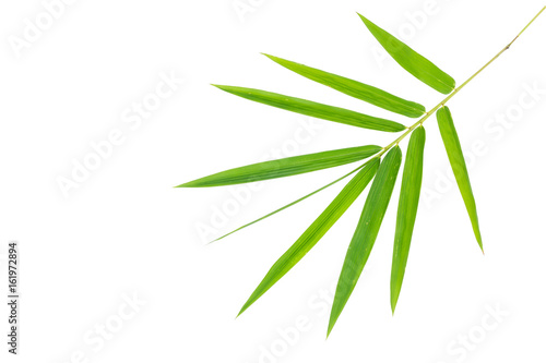 Bamboo leaves isolated on wite, clipping path included © Praiwun Thungsarn