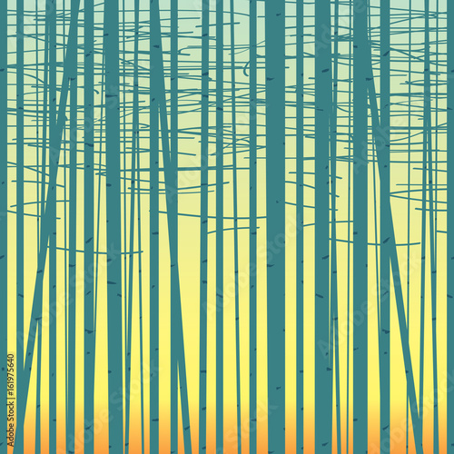Seamless vector texture with a picture of the forest of trees against the sky. Birch forest vector background. Birch grove pattern. Background of trees