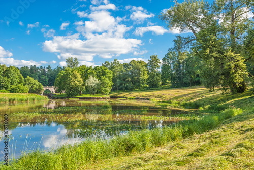 Fototapeta Naklejka Na Ścianę i Meble -  Bright summer landscape with river bank and mown grass