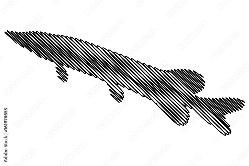 pike silhouette vector, (Esox lucius), pike silhouette vector, (Esox lucius),