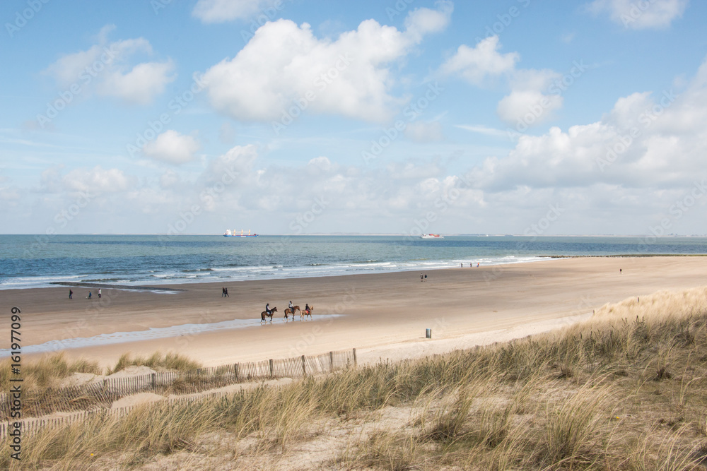 Sunny afternoon on the Dutch coast