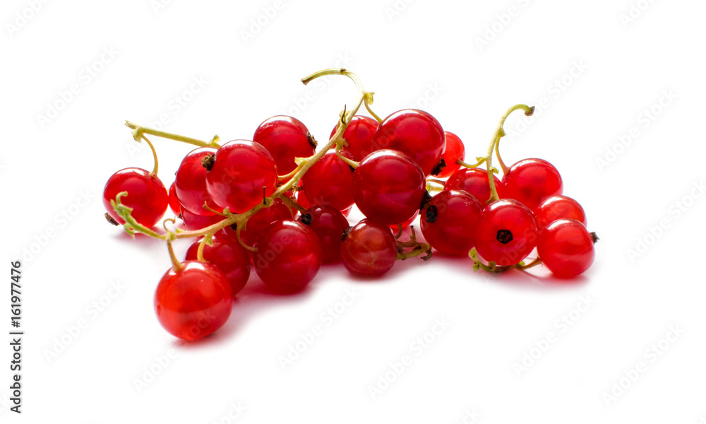 Red currants isolated on the white Background. Red currants isolated on the white Background.