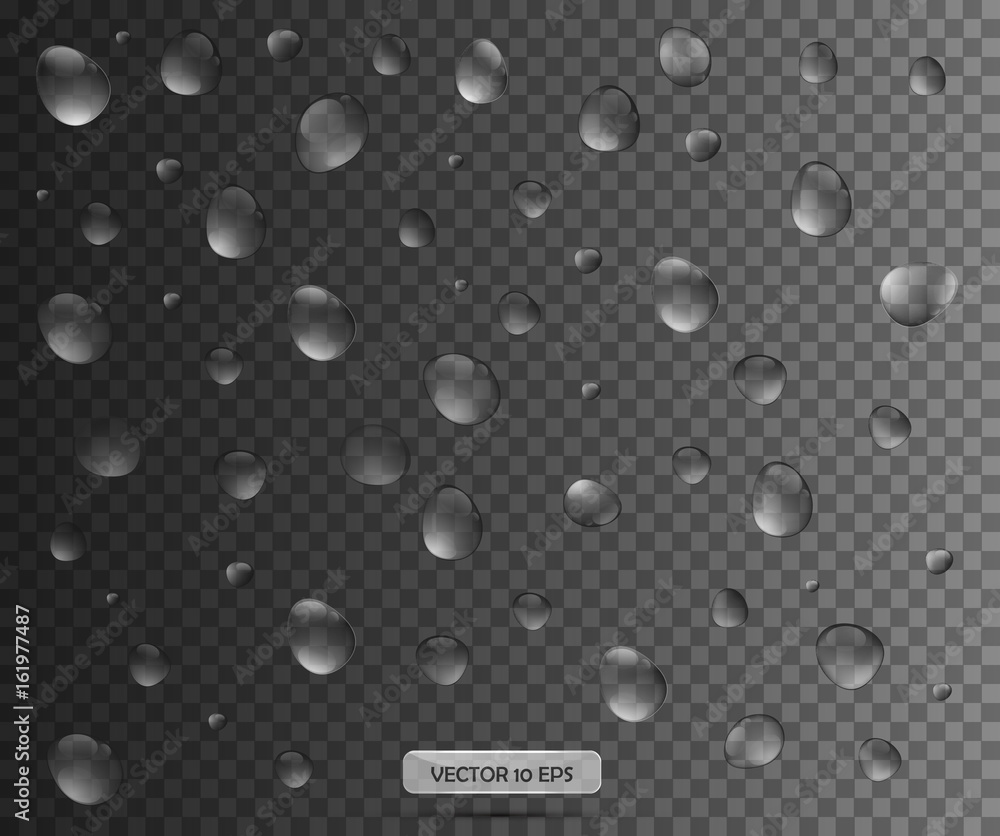 Realistic water drop. Vector illustration. Pure water drops collection. Realistic water drop. Vector illustration. Pure water drops collection.