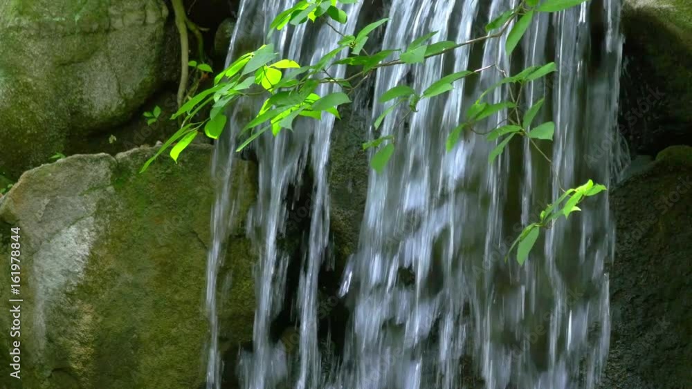 Small waterfall and swaying green branch
Small waterfall and swaying green branch