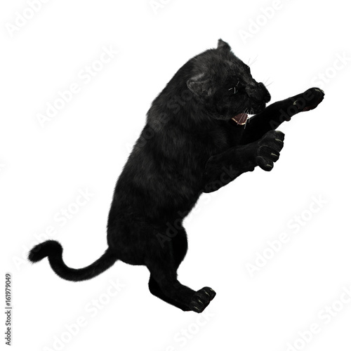 3D Rendering Black Panther on White