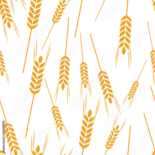 pattern wheat grain harvest