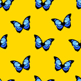 Summer pattern with butterfly  blue morpho on yellow background. Vector.