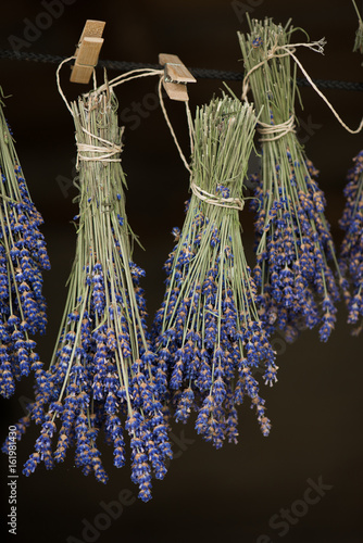 Fototapeta Naklejka Na Ścianę i Meble -  Lavender hanging. Drying process.
